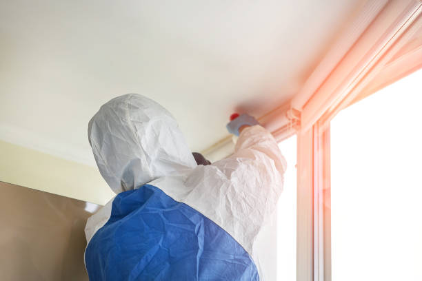 Why You Should Choose Our Mold Remediation Services in Richwood, NJ